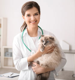 Doctor holding cat