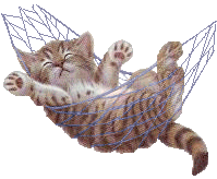 Cat Graphic