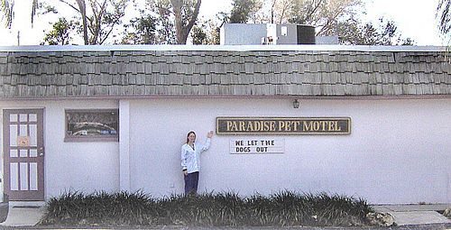 Our Boarding Pet Motel
